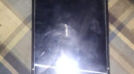 Rampas Ponsel Karyawati di Batuceper, Pelaku Jambret Diringkus Polisi Patroli