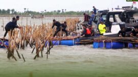 Pembongkaran Pagar Laut Tangerang Hari Ini Akan Diselesai Oleh TNI AL