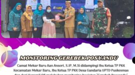 Camat Mekar Baru Melakukan Monitoring Kegiatan Gerebek Posyandu.