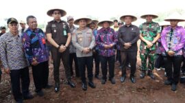 Bupati dan Unsur Forkopimda Tanam Jagung Hibrida di Kampung Batu Tunggul Sukatani.