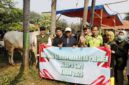Wali Kota Tangerang Tinjau Langsung Prosesnya Distribusi Hewan Kurban.