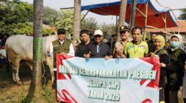 Wali Kota Tangerang Tinjau Langsung Prosesnya Distribusi Hewan Kurban.