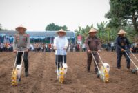 Wagub Banten : Program Tanam Jagung Dorong Kemandirian dan Wirausaha Masyarakat.