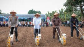 Wagub Banten : Program Tanam Jagung Dorong Kemandirian dan Wirausaha Masyarakat.