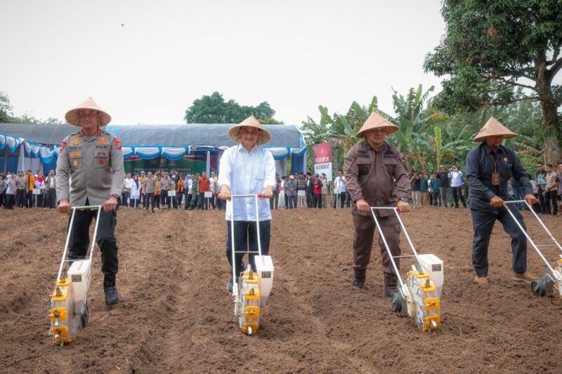 Wagub Banten : Program Tanam Jagung Dorong Kemandirian dan Wirausaha Masyarakat.