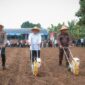 Wagub Banten : Program Tanam Jagung Dorong Kemandirian dan Wirausaha Masyarakat.